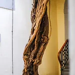 Fiorenza Boutique Apartment