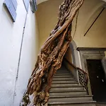 Fiorenza Boutique Apartment